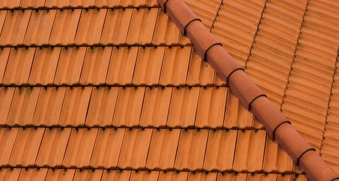 poner tejado de tejas a precio económico en Épila