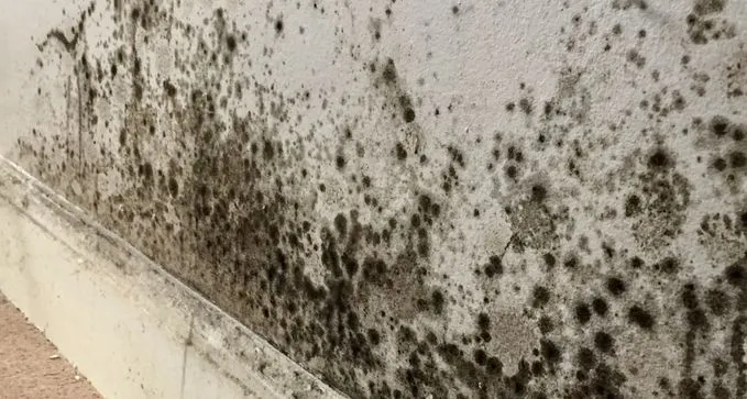 reparación de humedades por capilaridad a precio barato en Tarazona