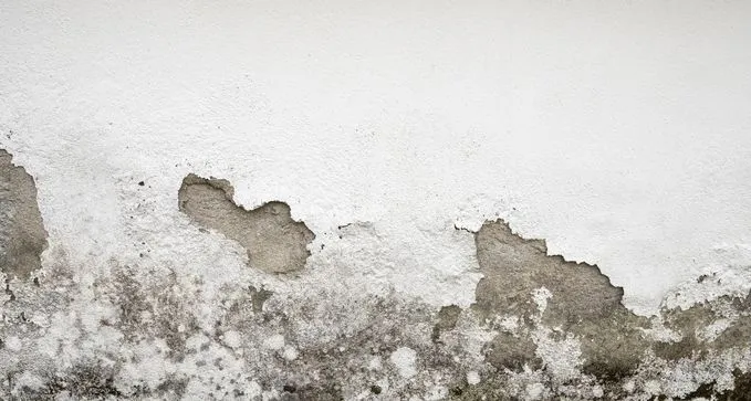 reparación de humedades y goteras a buen precio económico en Calatayud